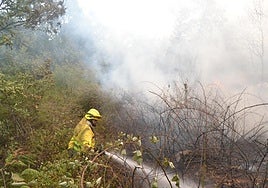 Brigadas, en el incendio de La Alberca.
