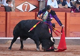 Primoroso cambio de mano de Morante a Corchero, de Garcigrande, que ganó la corrida concurso de ganaderías.