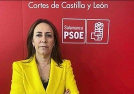 Rosa Rubio, procuradora socialista encargada de defender la iniciativa en la Comisión de Sanidad de la Cámara Autonómica.