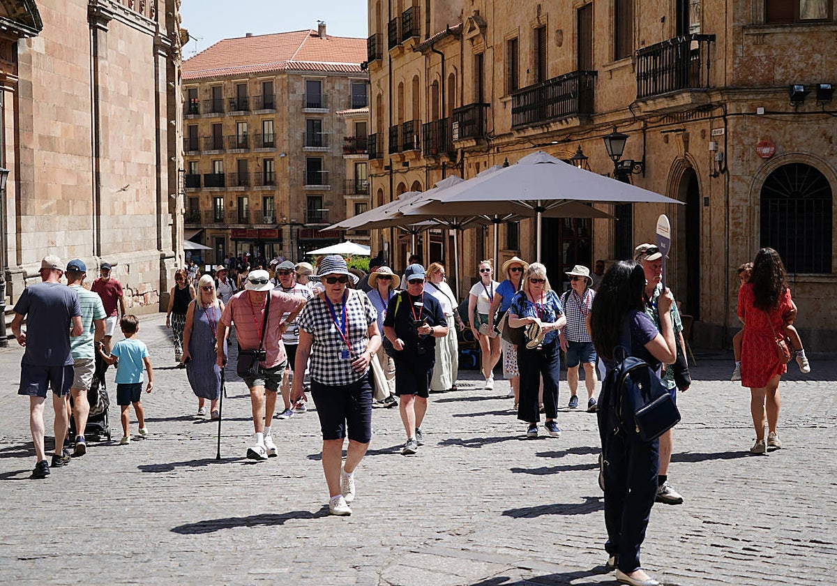 Un grupo de viajeros extranjeros junto a la iglesia de La Clerecía.