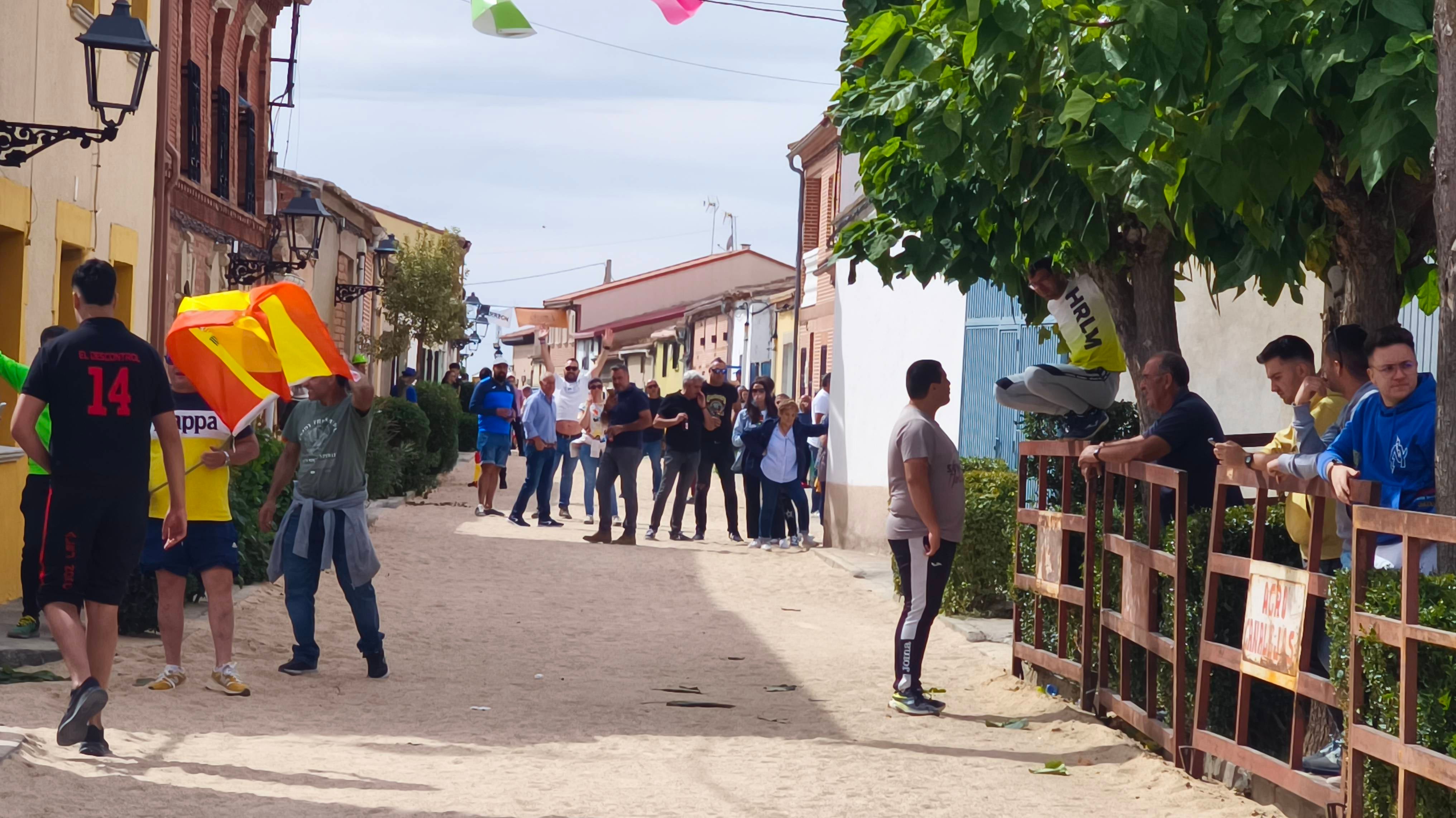 Bravura taurina en los encierros de Tarazona