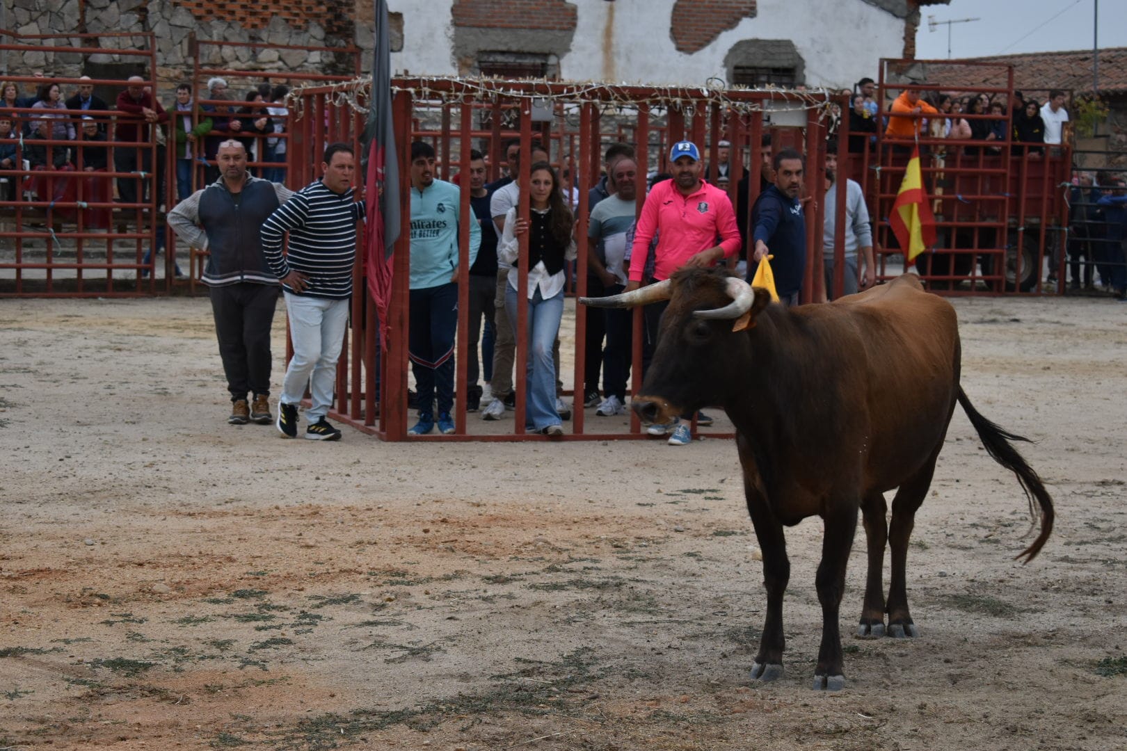 Riesgo y emoción en Santiz durante la esperada capea con vaquillas y un novillo