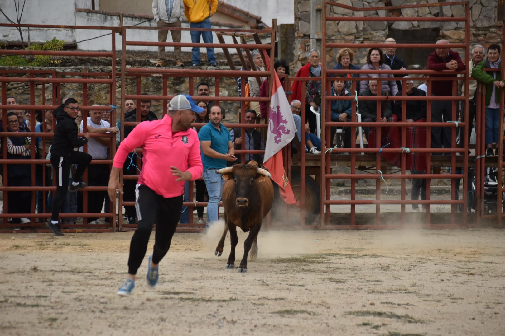 Riesgo y emoción en Santiz durante la esperada capea con vaquillas y un novillo