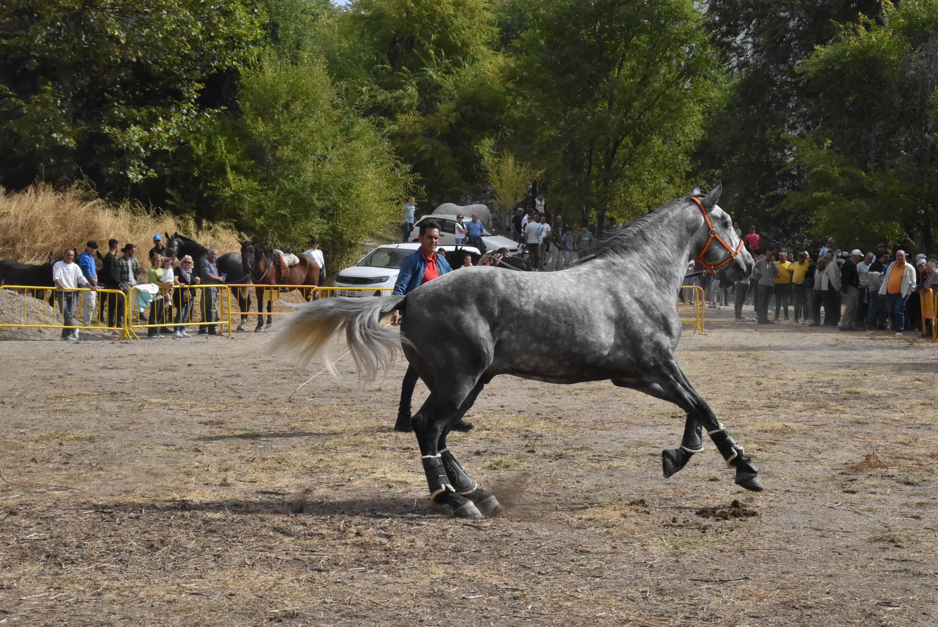 Éxito de público en la celebración de las Ferias de San Miguel en Béjar