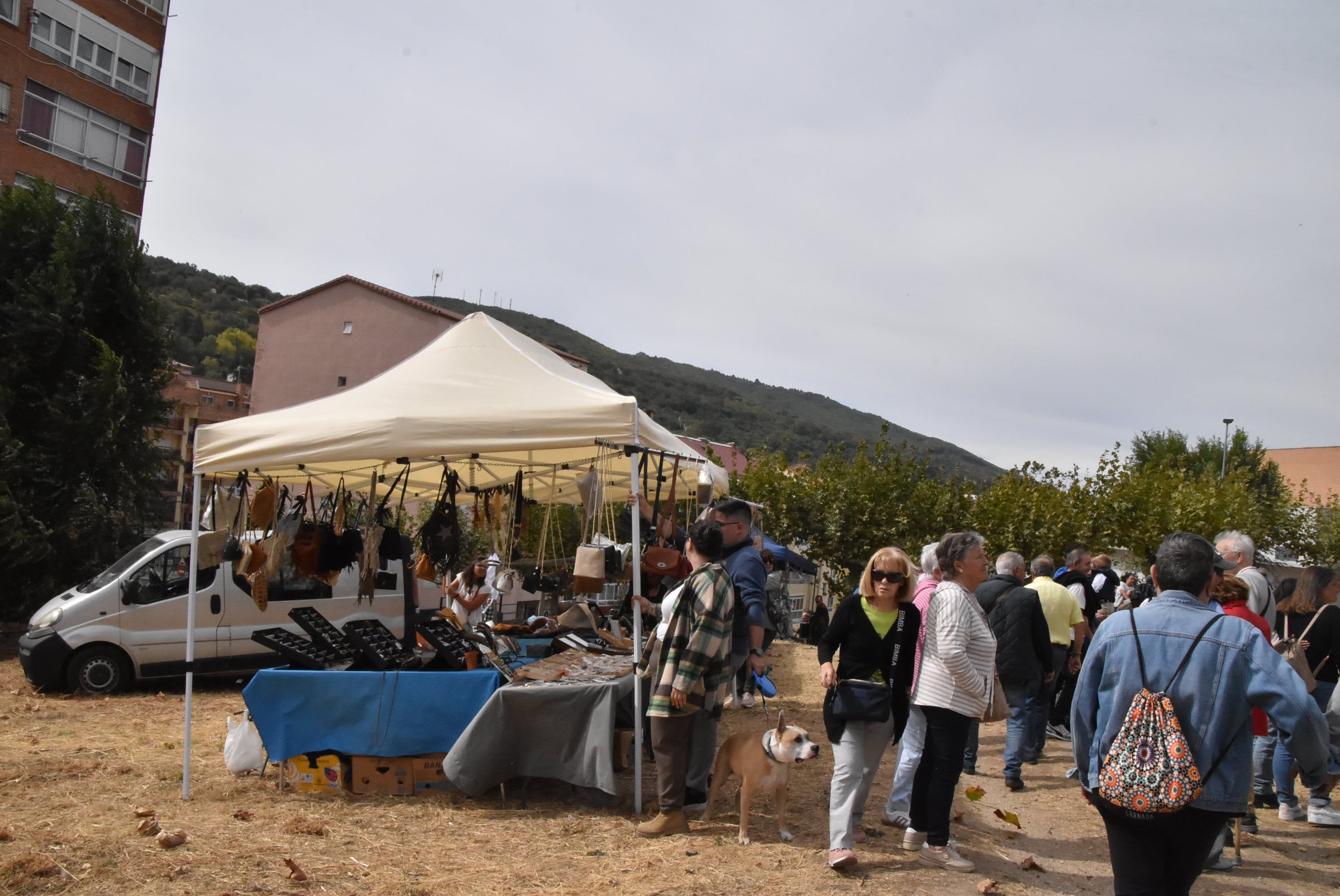Éxito de público en la celebración de las Ferias de San Miguel en Béjar