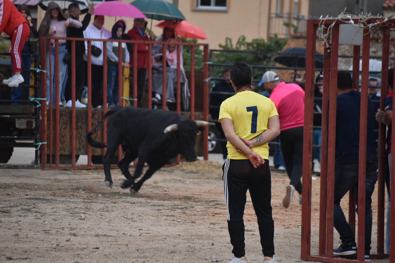 Riesgo y emoción en Santiz durante la esperada capea con vaquillas y un novillo