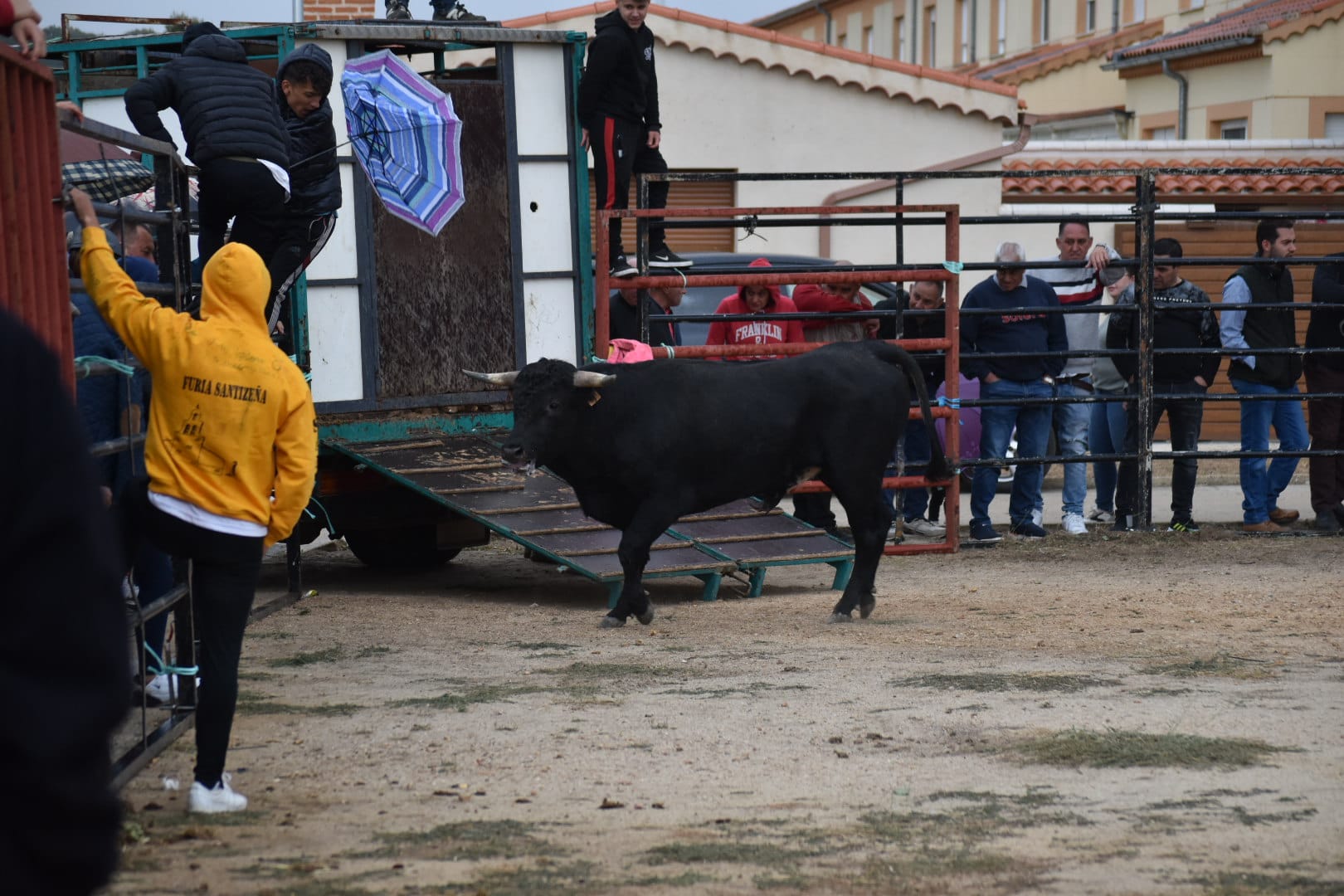 Riesgo y emoción en Santiz durante la esperada capea con vaquillas y un novillo