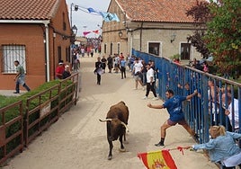 Primer encierro por las calles de Tarazona de Guareña