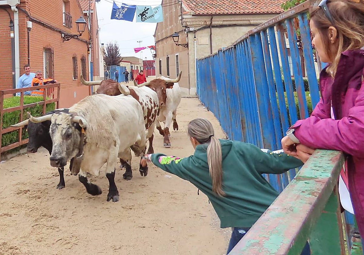 Bravura y encuentros en Tarazona de Guareña