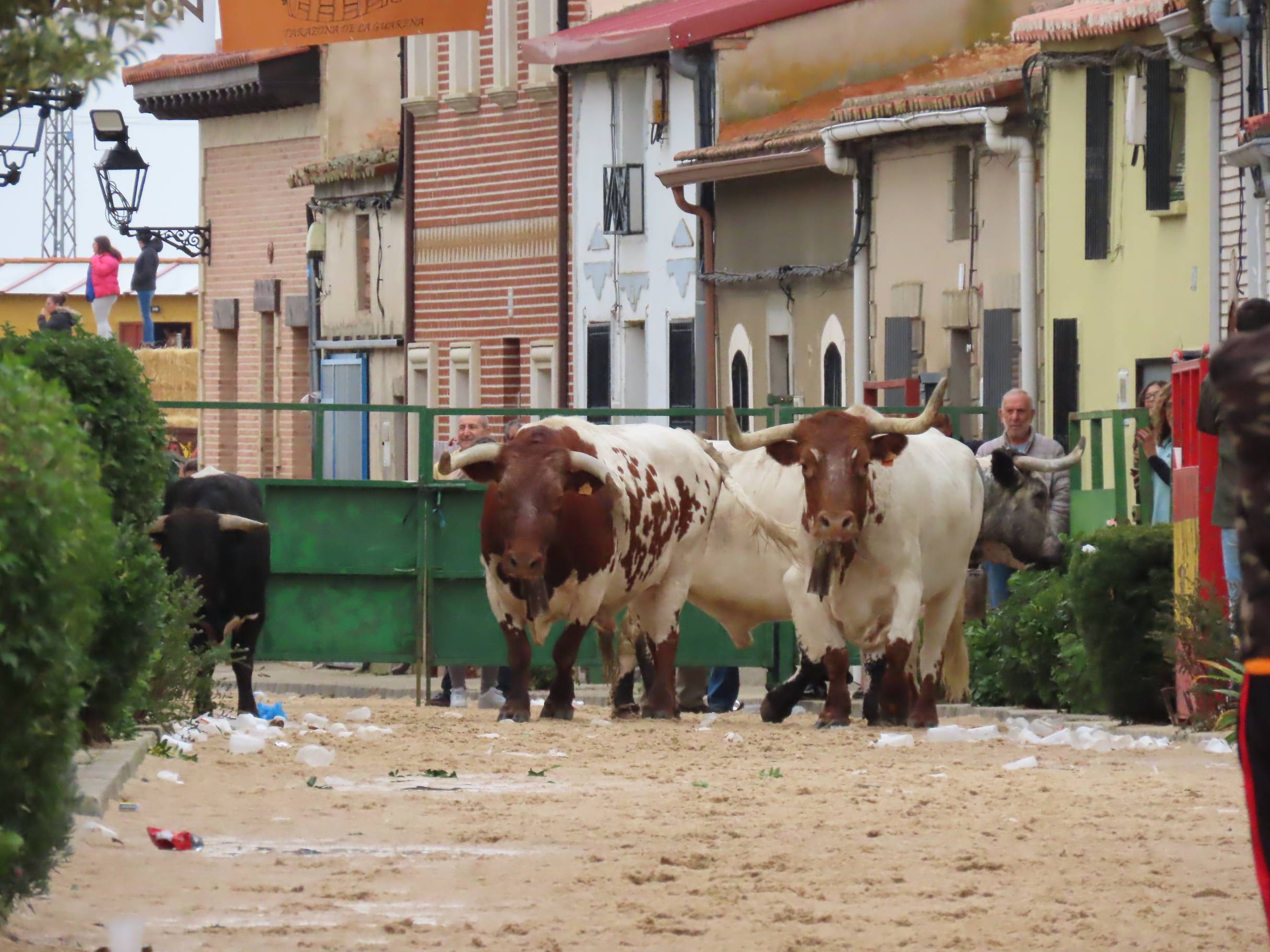 Bravura y encuentros en Tarazona de Guareña