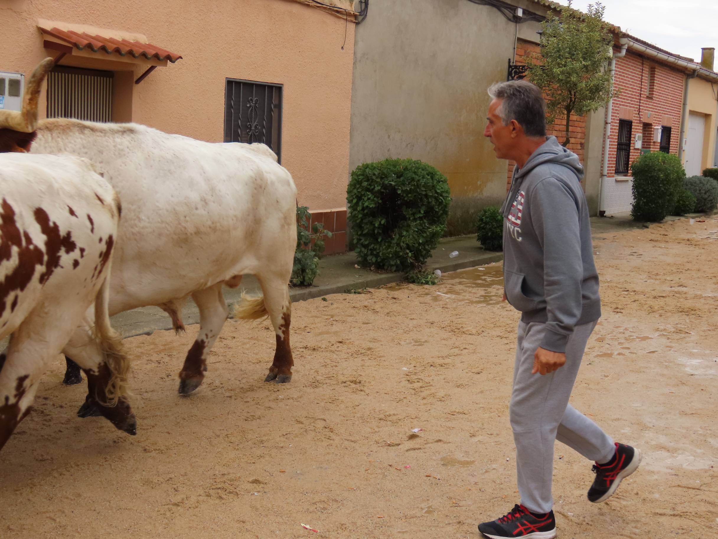 Bravura y encuentros en Tarazona de Guareña