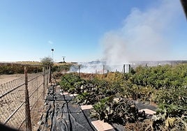 Incendio en El Juncal.