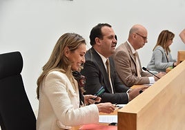 Marta Labrador, David Mingo y Jesús Salvador, instantes antes del comienzo del pleno.