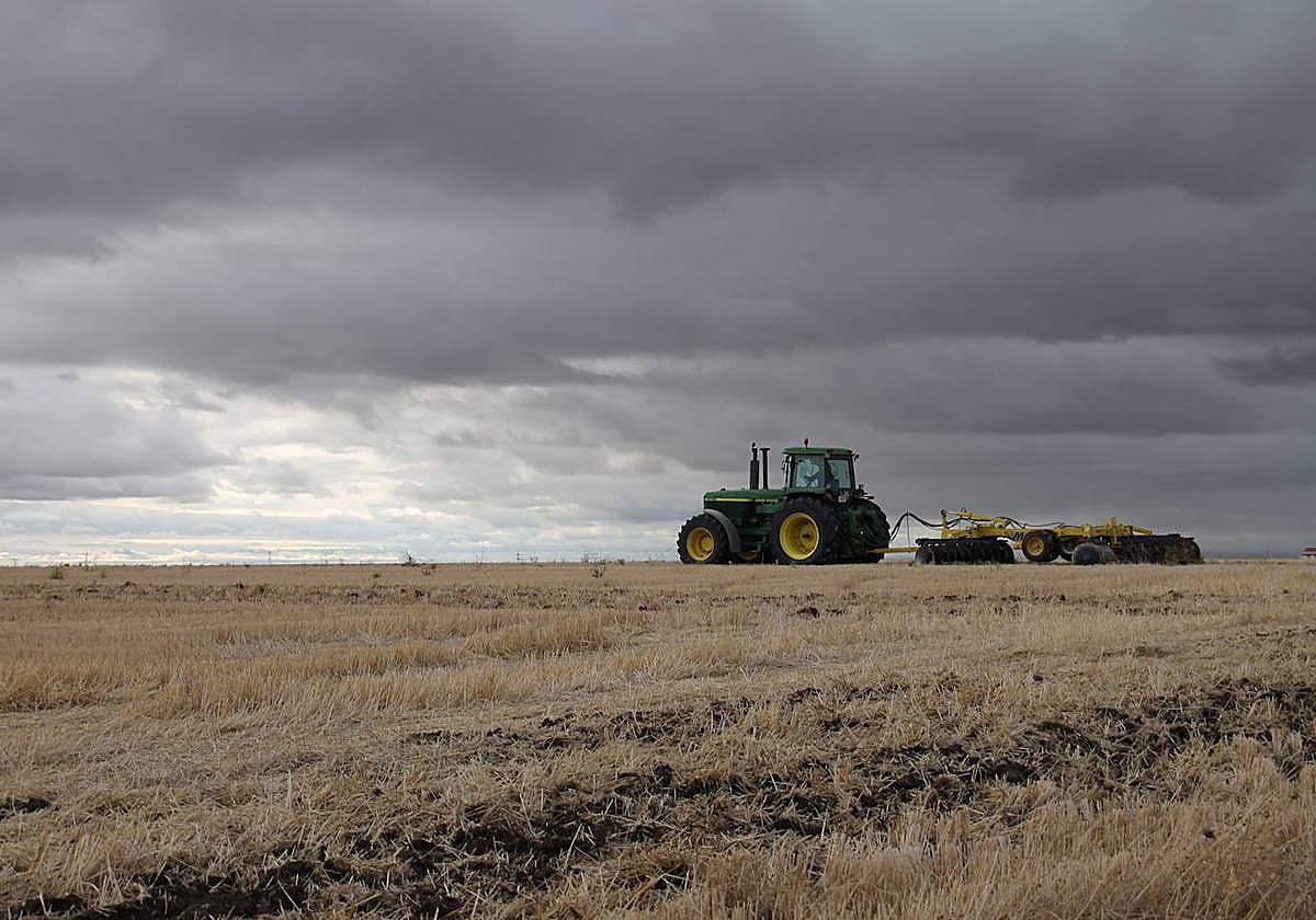 Un agricultor, trabajando pese a la amenaza de la lluvia.