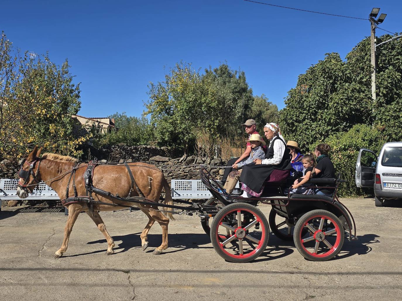 Saelices el Chico se entrega a la Fiesta de la Vendimia