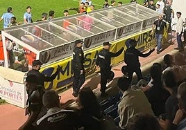 La Policía se lleva a un aficionado del Reina Sofía.