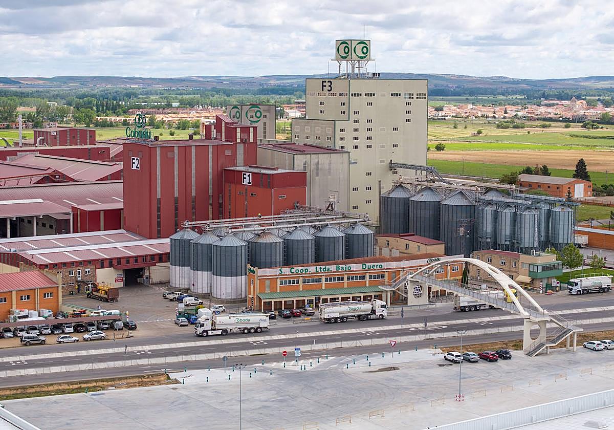 Insalaciones de Cobadu.