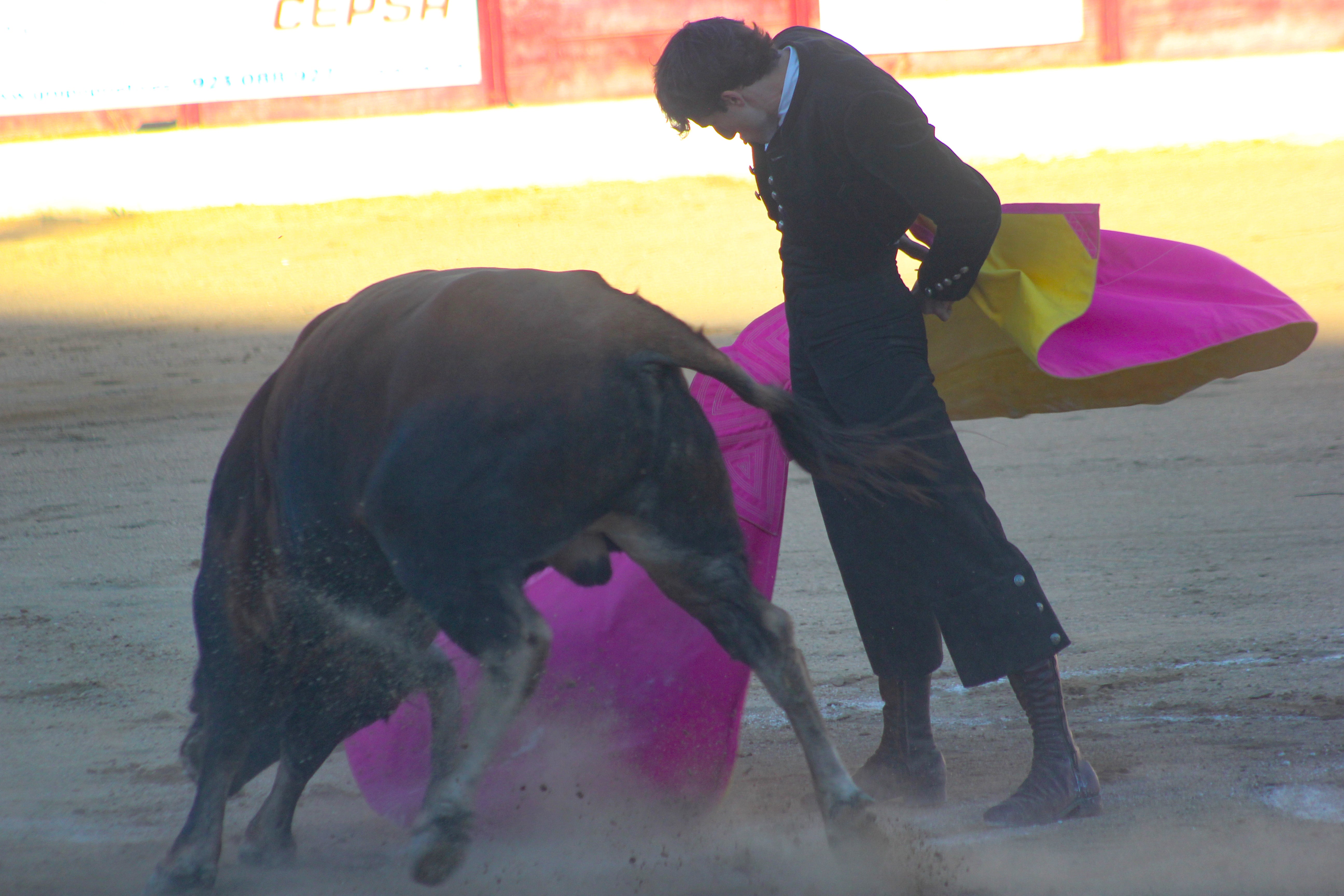El festival taurino de Aerscyl, en imágenes