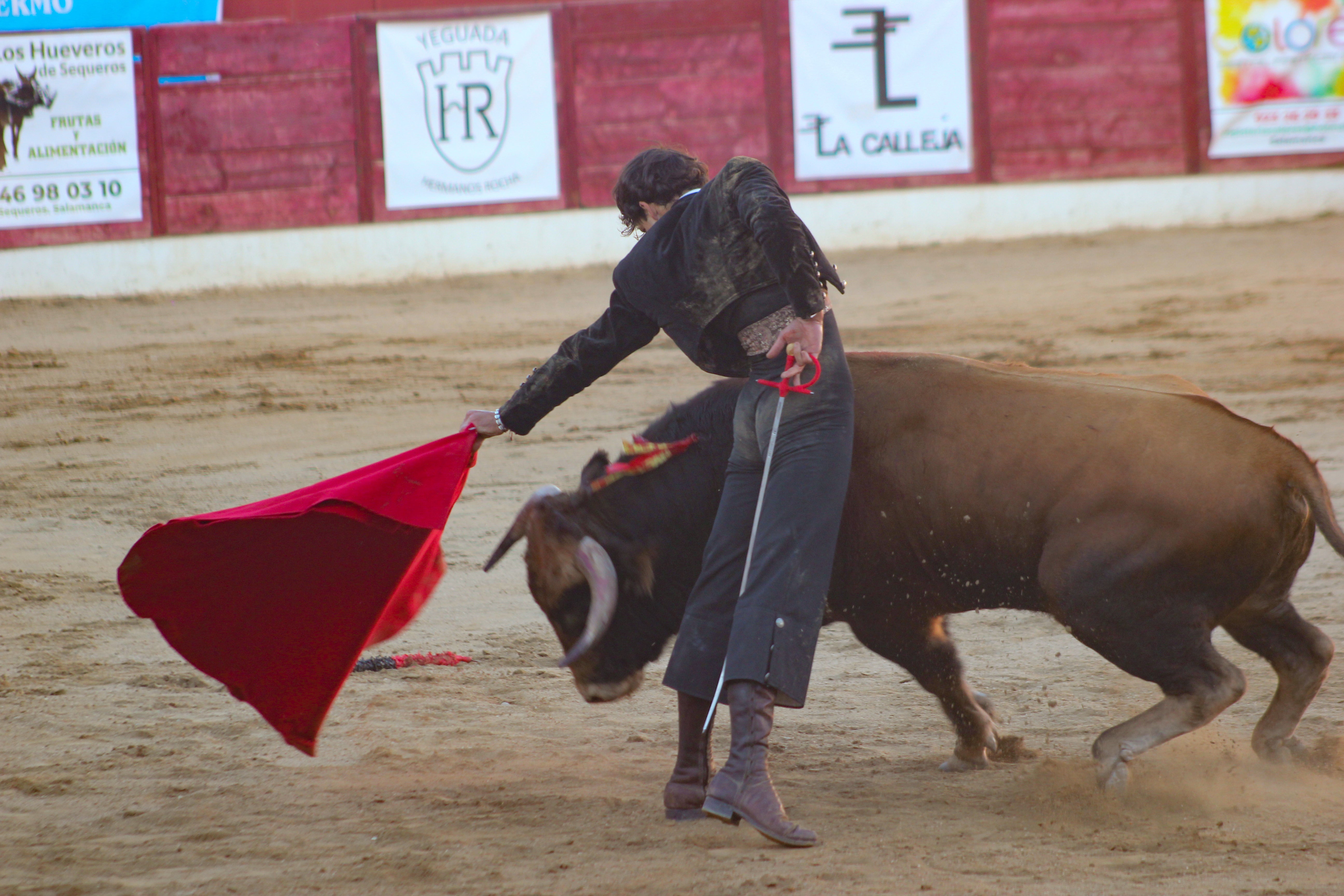 El festival taurino de Aerscyl, en imágenes