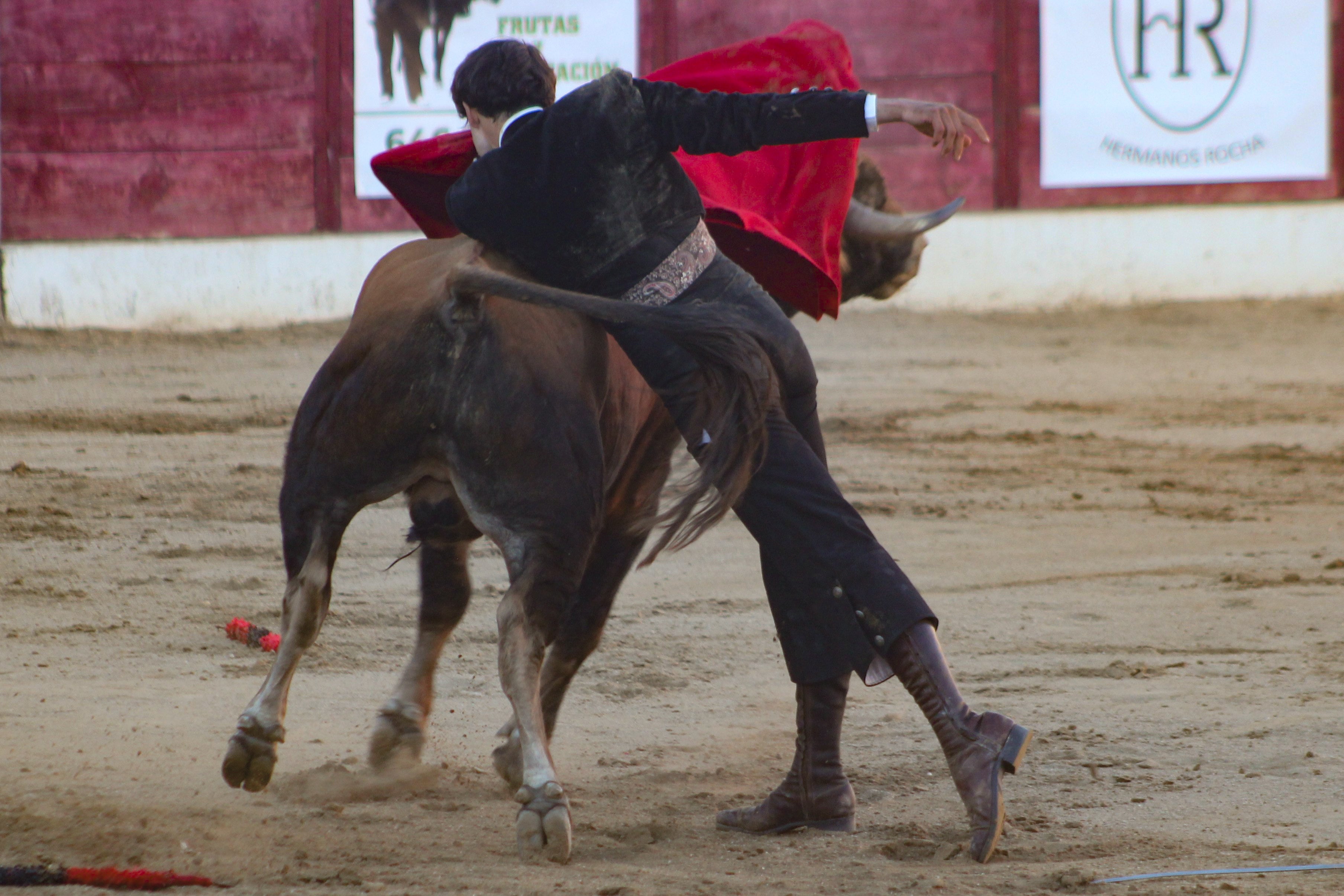 El festival taurino de Aerscyl, en imágenes