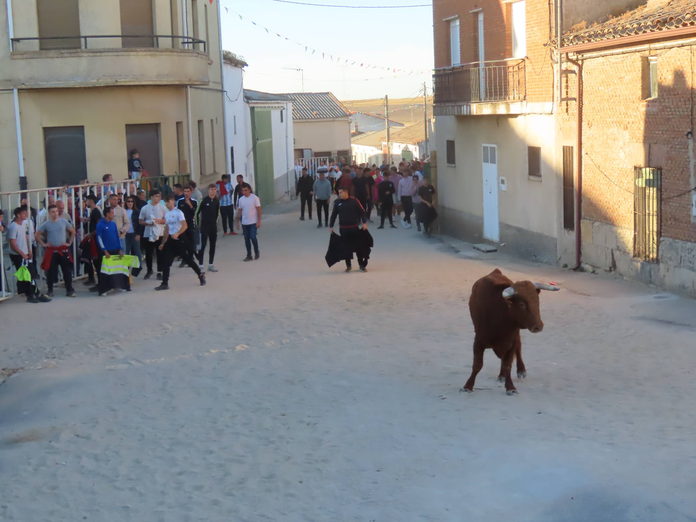Derroche de adrenalina y alegría en las calles de Poveda de las Cintas