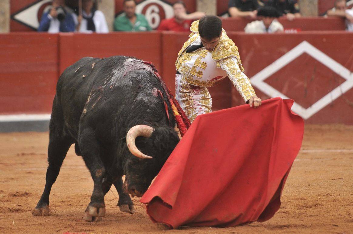 Natural de Javier Castaño al toro de Pedraza de Yeltes, al que le cortó las dos orejas en la Feria de Salamanca de 2014.