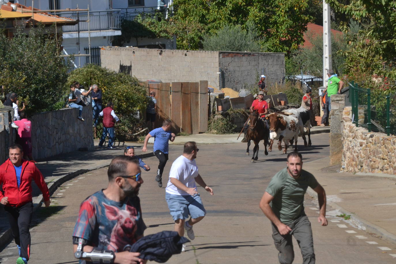 Bello encierro a caballo en las calles de El Maíllo