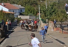 El grueso del encierro entrando en la zona urbana