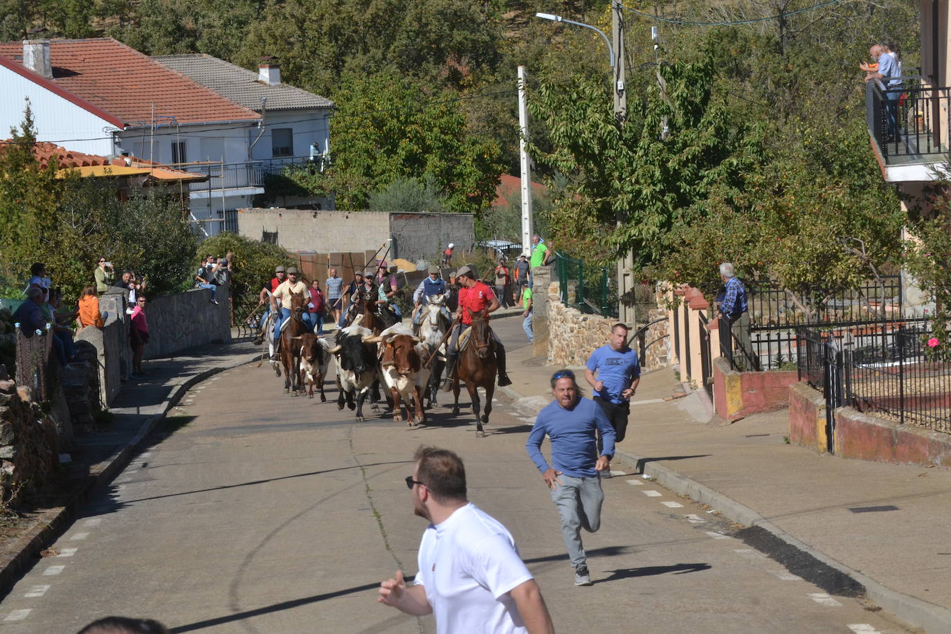 Bello encierro a caballo en las calles de El Maíllo