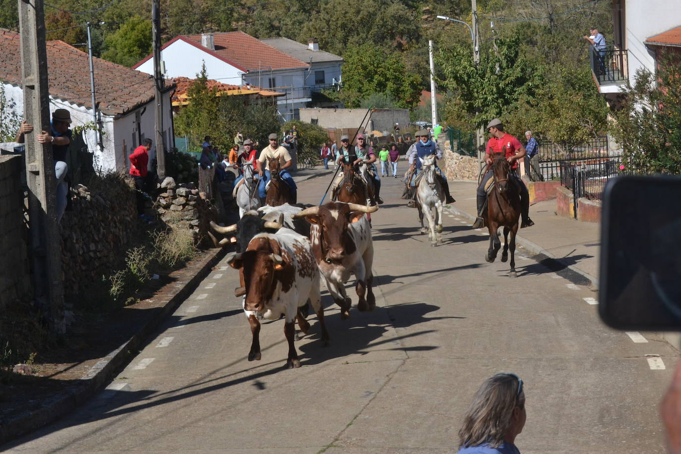 Bello encierro a caballo en las calles de El Maíllo