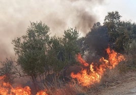 Fuego en Mieza.