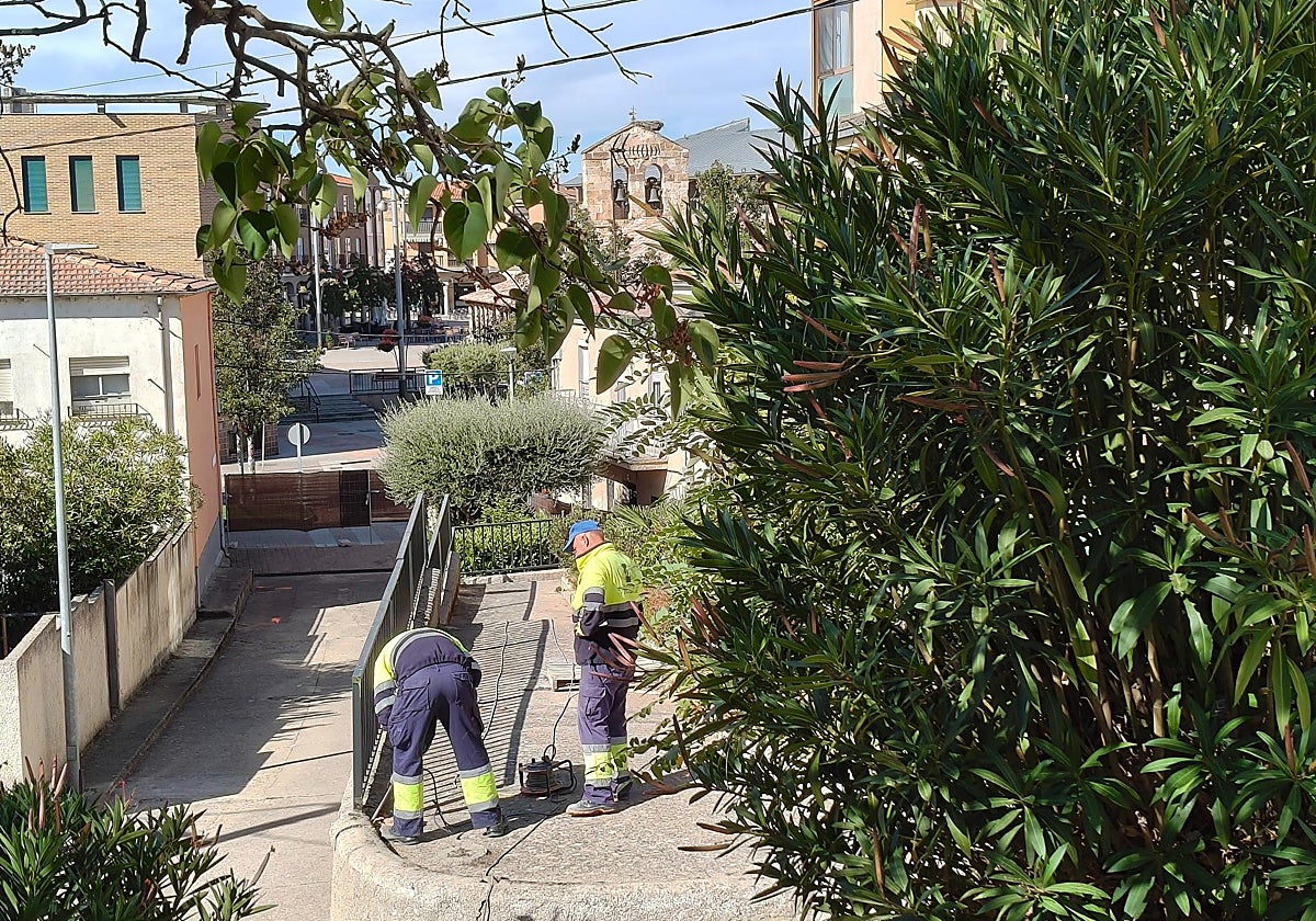 Dos operarios en el inicio de las obras de remodelación.