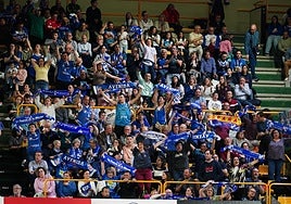 Aficionados del Perfumerías Avenida, en las gradas de Würzburg.