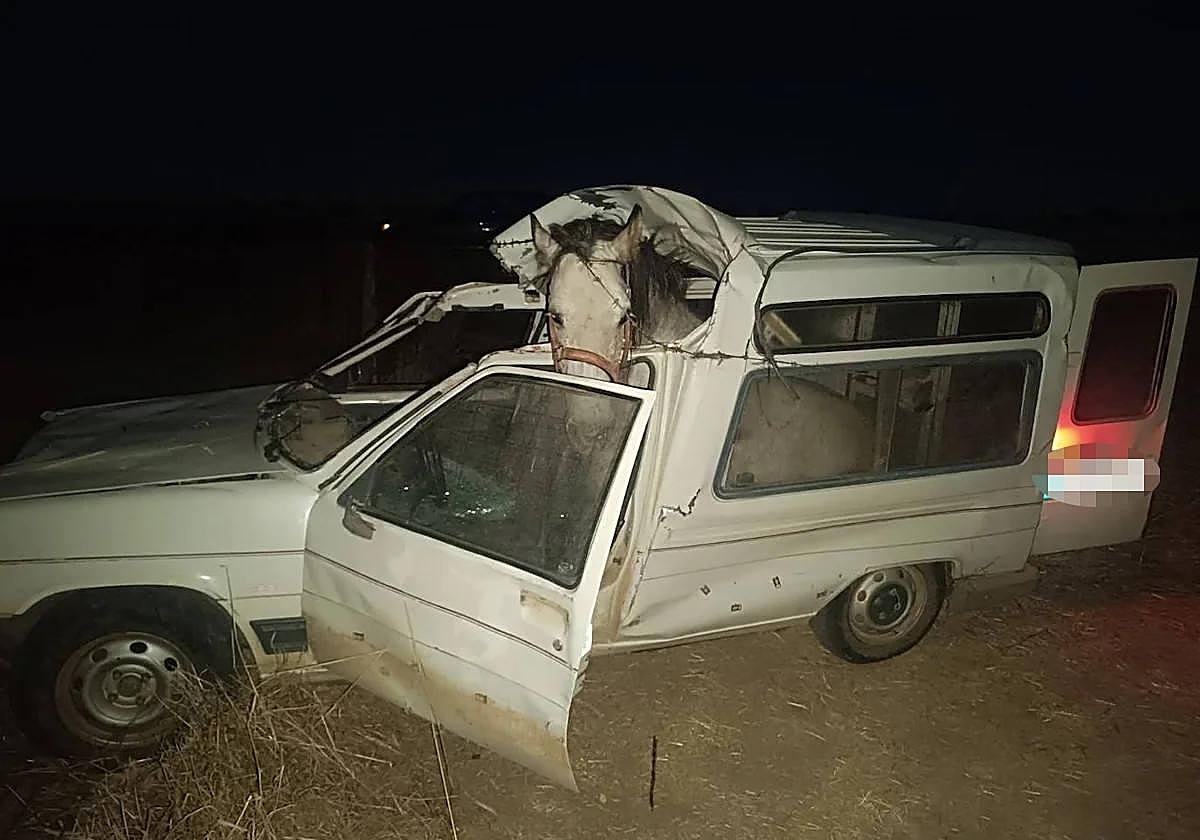 Estado en el que quedó el vehículo, con el caballo aún en su interior.