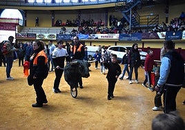 Encierro de carretones en la plaza de toros cubierta de Alba de Tormes.