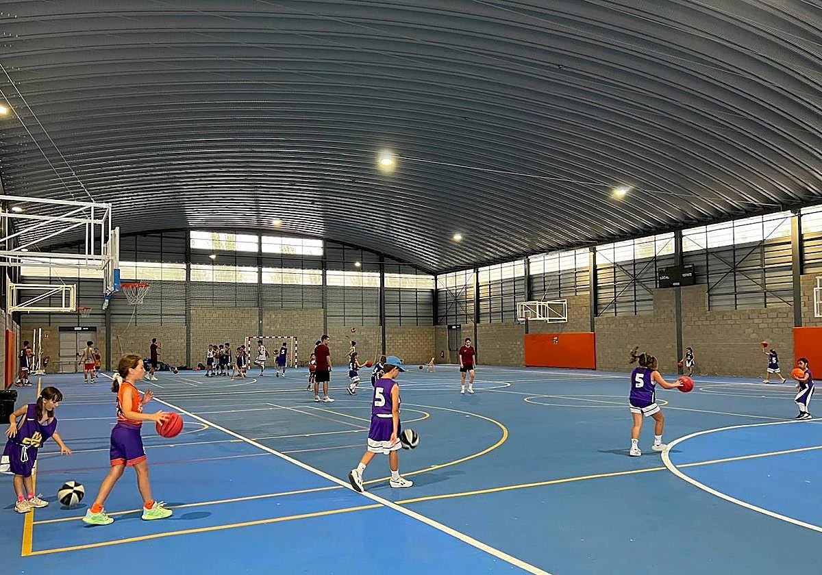 Niños, entrenando a baloncesto, en el interior de la pista deportiva cubierta.