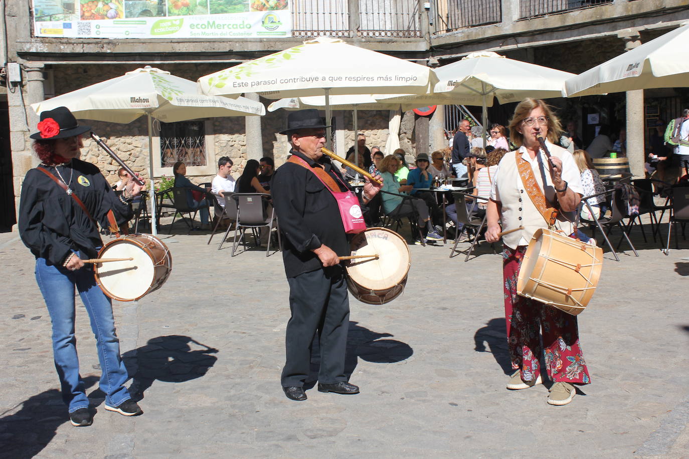 San Martín del Castañar brinda por el vino de la provincia en la XII Fiesta de la Vendimia