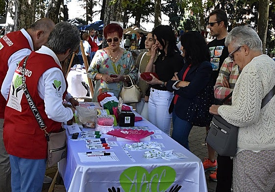 Voluntarios de la asociación bejarana contra el cáncer recaudan fondos para avanzar en la atención a los pacientes de Béjar y su comarca