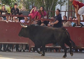 'Langosto', de José Enrique Fraile de Valdefresno, en su entrada a la plaza de toros
