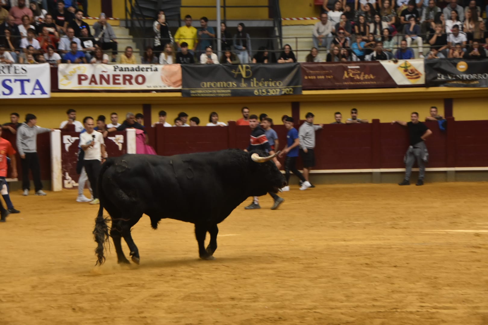 Alba inicia sus fiestas de Santa Teresa con emoción y tradición