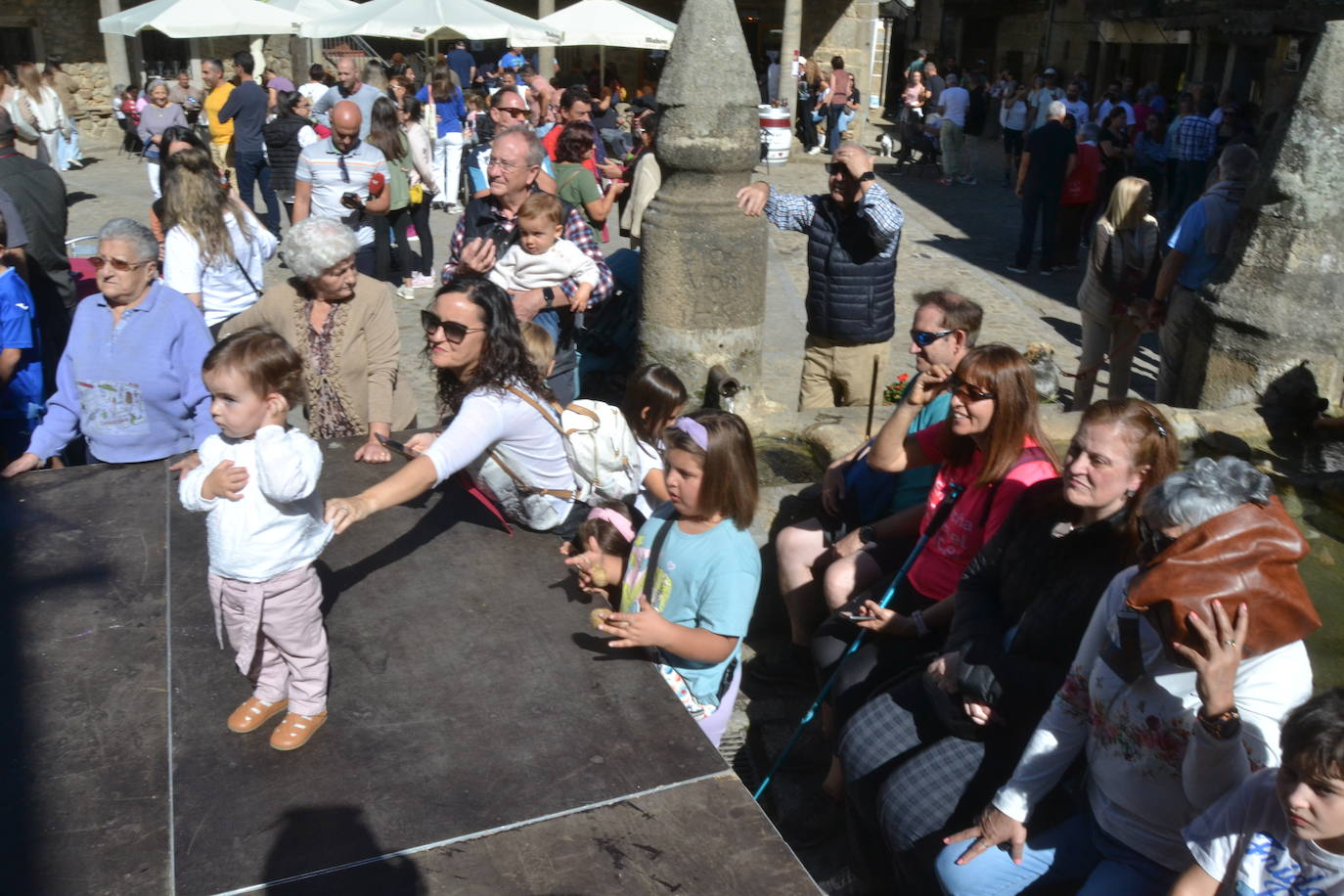 Una oda a la uva y al vino