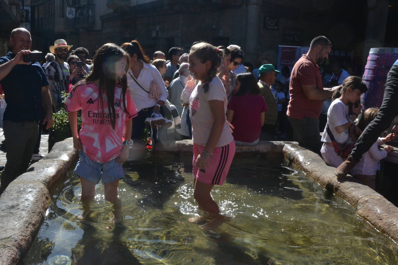 Una oda a la uva y al vino