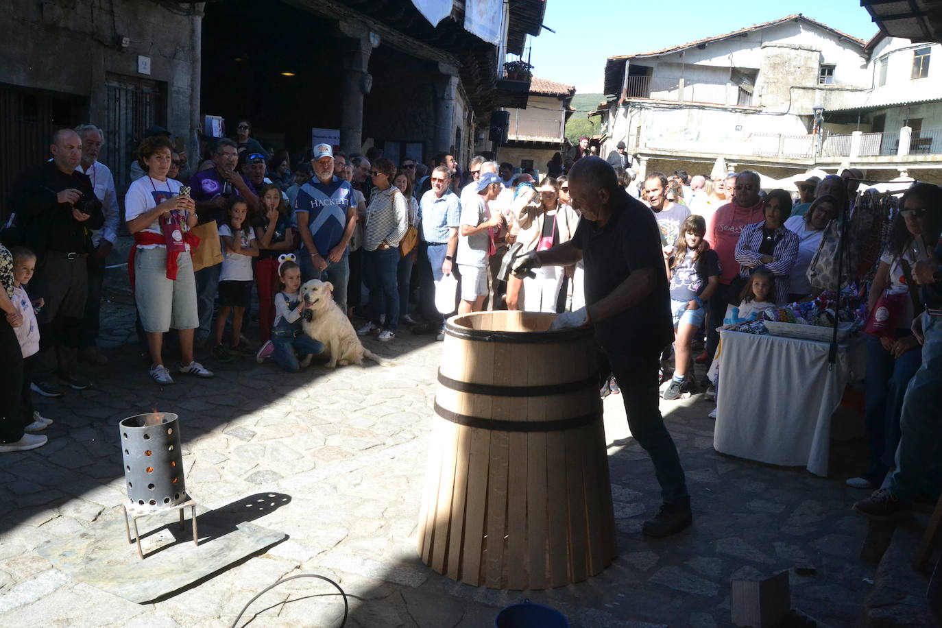 Una oda a la uva y al vino