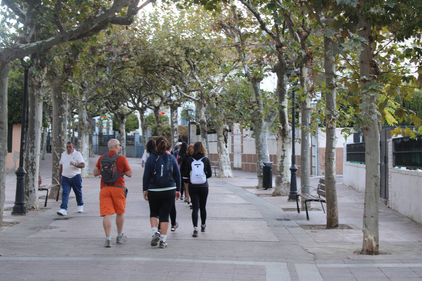 Por los caminos que conducen a Roma