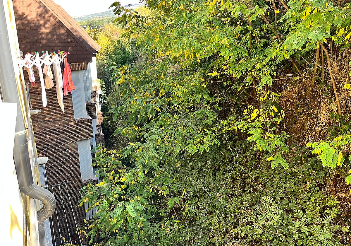 Béjar licita la limpieza del talud de la calle Arco del Monte previa a su consolidación