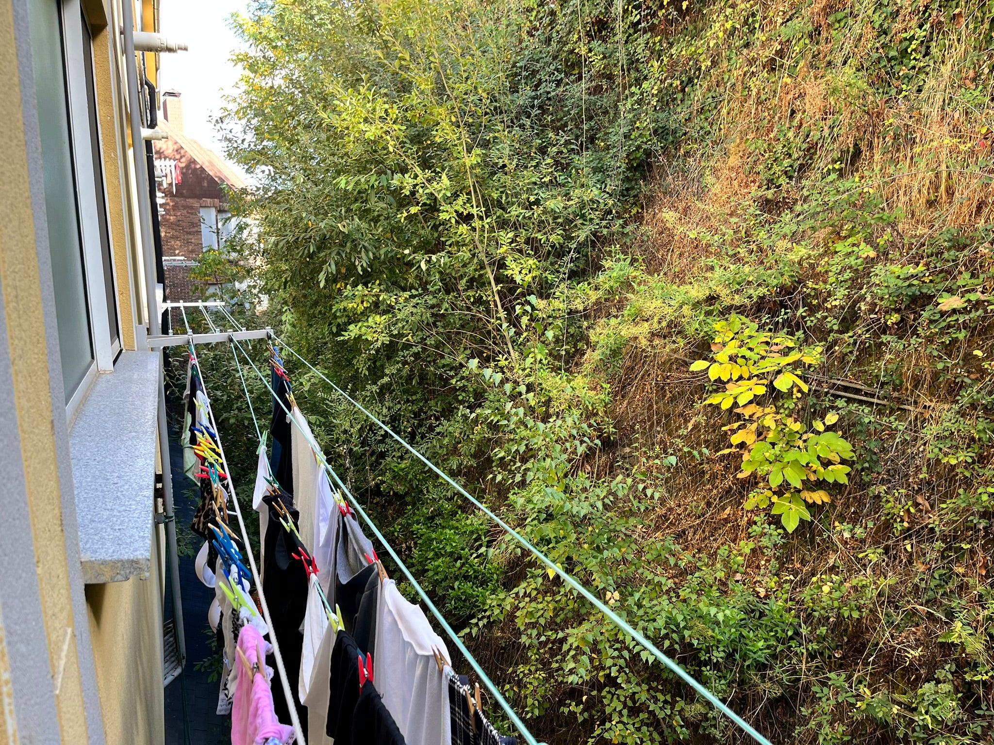 Béjar licita la limpieza del talud de la calle Arco del Monte previa a su consolidación
