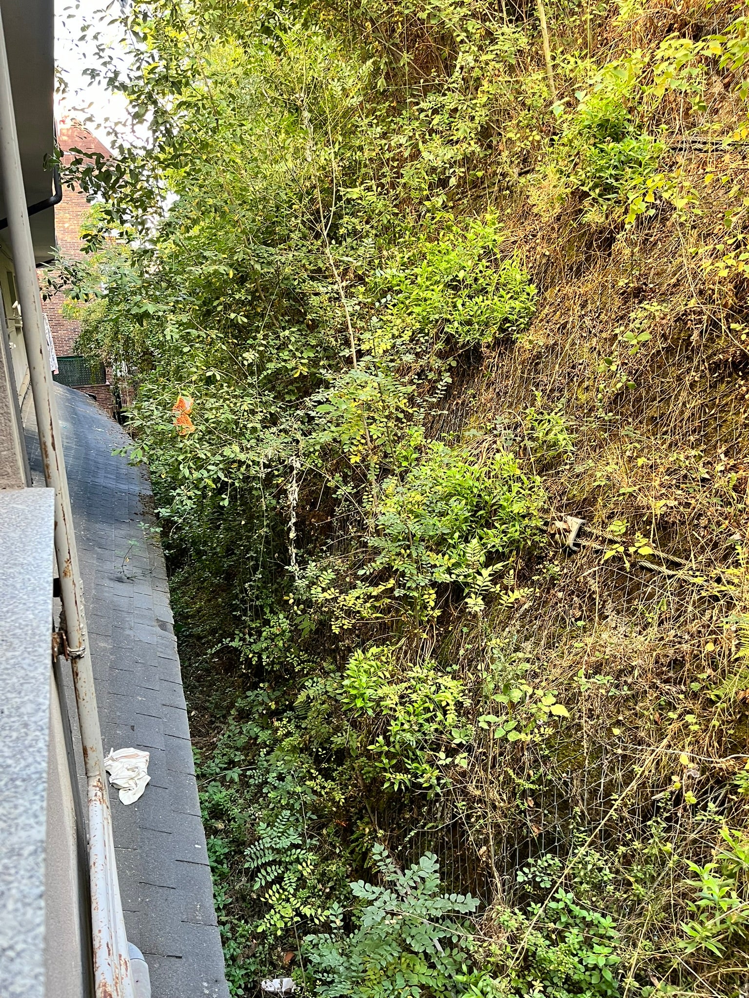 Béjar licita la limpieza del talud de la calle Arco del Monte previa a su consolidación
