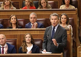 El presidente del PP, Alberto Núñez Feijóo.