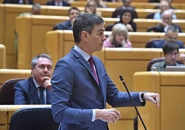 El presidente del Gobierno, Pedro Sánchez, interviene durante una sesión de control al Gobierno, en el Senado.