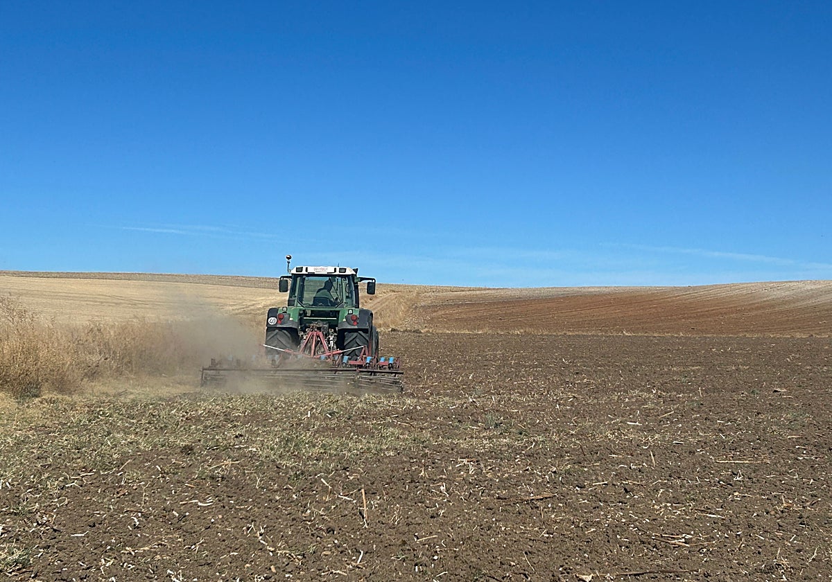 Un tractor pasa el cultivador en La Armuña.